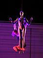 IMG_10048-5a
