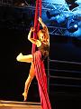 IMG_11072-5a