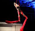 IMG_11075-5a