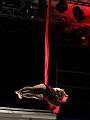 IMG_11110-5a