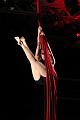 IMG_11128-5