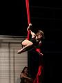 IMG_11138-5a