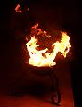 IMG_1995a