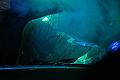 D-E3621-IMG_5289-5