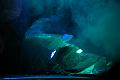 D-E3622-IMG_5290-5