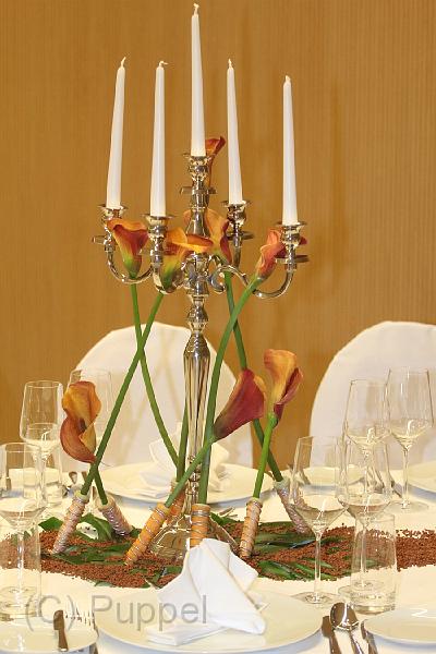 D-E5101-IMG_8152.JPG