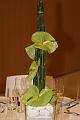 D-E5097-IMG_8138