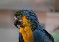 aa-01_IMG_3468_4029a