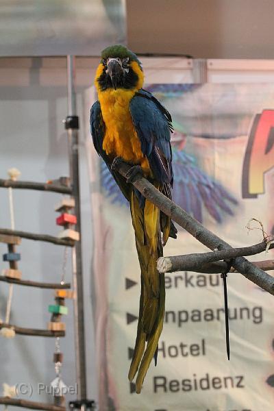 IMG_3468_4001.JPG