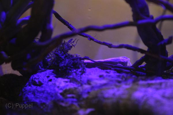 IMG_4289.JPG