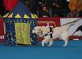 IMG_3466a