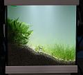 IMG_3515a