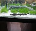 IMG_4170a