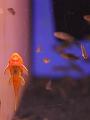 IMG_4253a