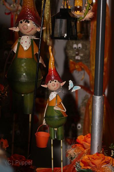 IMG_3746.JPG
