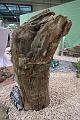 IMG_3847a