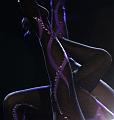 IMG_5755a