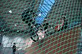 IMG_1901