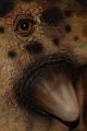 IMG_2090a
