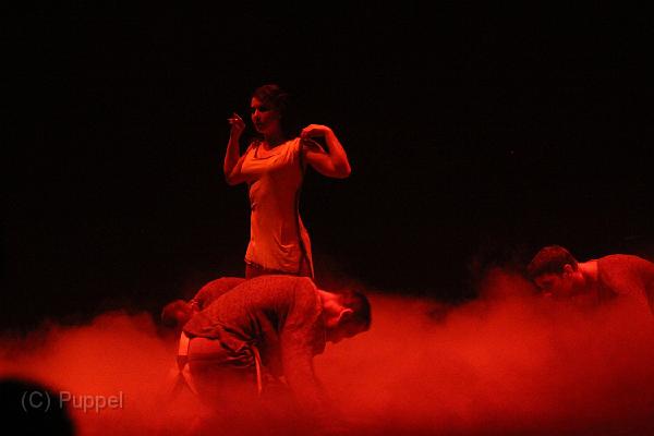 D-F1153-IMG_2764-5.JPG
