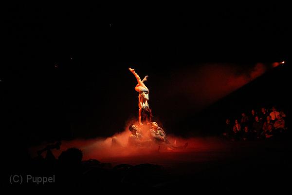 D-F1261-IMG_9809-F.JPG