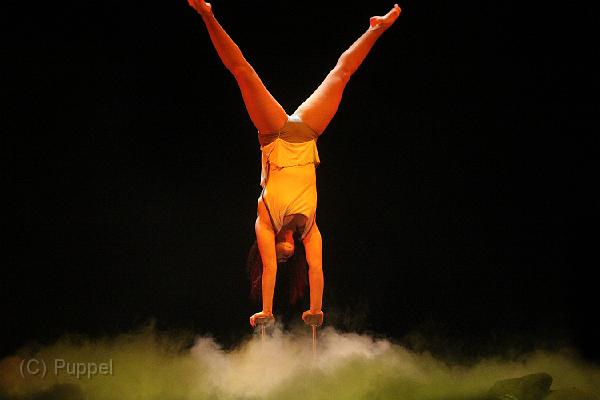 D-F1333-IMG_2937-5.JPG