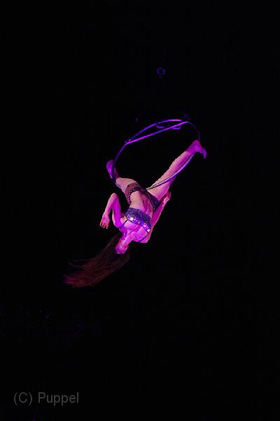 D-F2117-IMG_0197-F.JPG