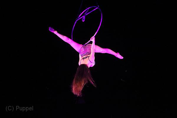 D-F2119-IMG_3343-5.JPG