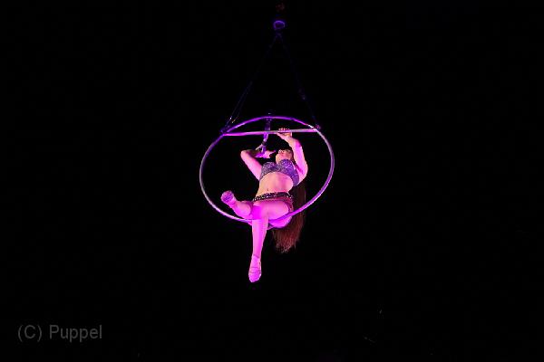 D-F2131-IMG_3355-5.JPG