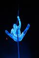 D-F0220-IMG_2056-5