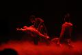 D-F1145-IMG_2756-5