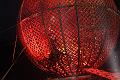 D-F1840-IMG_9993-F