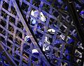 D-F1951-IMG_0087-Fa