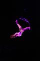 D-F2116-IMG_0196-F