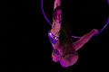 D-F2146-IMG_3370-5