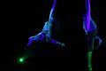 D-F2590-IMG_3755-5