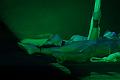 D-F2598-IMG_3763-5