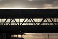 D-F7787-IMG_1342-F