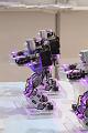 D-G4479-IMG_4267-F