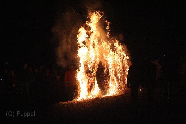 D-H0362-IMG_9382-F.JPG