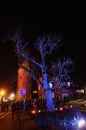 D-H1391-IMG_0334-F