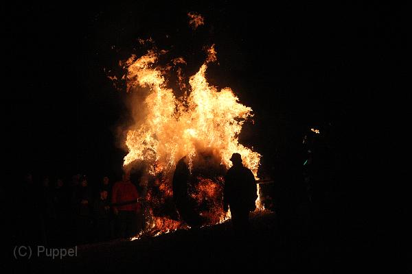 D-H0375-IMG_9395-F.JPG