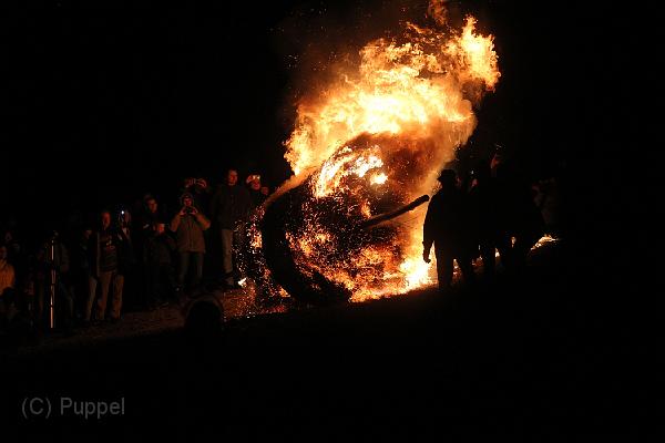 D-H0485-IMG_9498-F.JPG