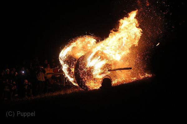D-H0488-IMG_9501-F.JPG