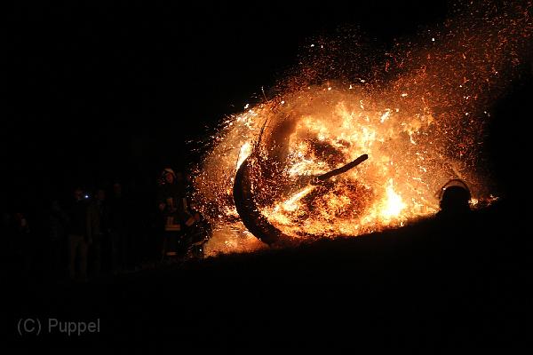 D-H0490-IMG_9503-F.JPG