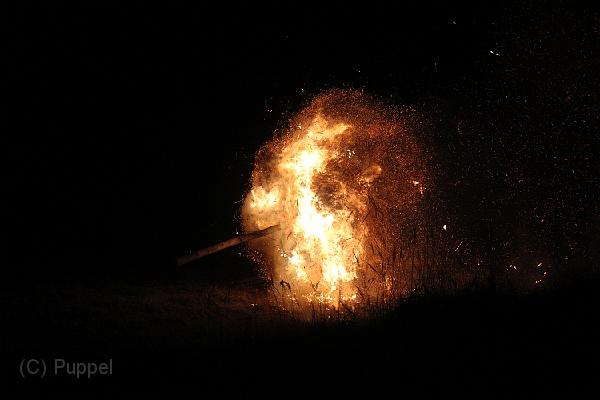 D-H0518-IMG_9531-F.JPG