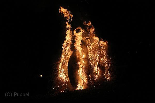 D-H0581-IMG_9592-F.JPG