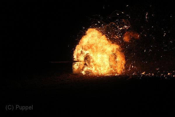 D-H0641-IMG_9652-F.JPG