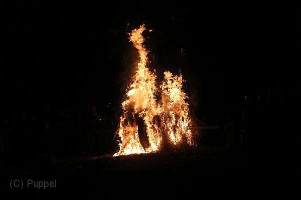 D-H0695-IMG_9706-F.JPG