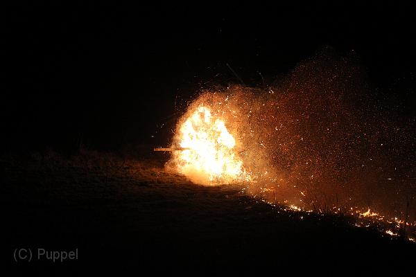 D-H0734-IMG_9745-F.JPG